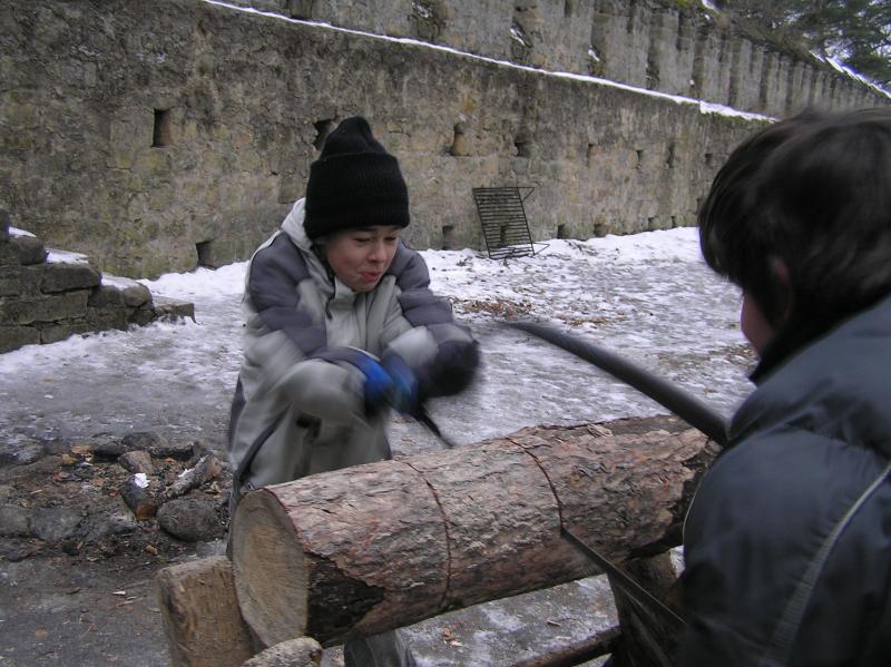Fotka: Zuřivé řezání dřeva